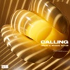 Calling (Joe Fisher Remix) - Single