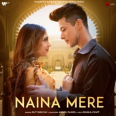 Naina Mere artwork