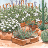 Jardines, Vol. 1 - EP - Ruth de las Plantas