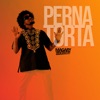 Perna Torta - Single