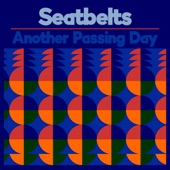 Seatbelts - Another Passing Day