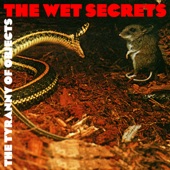 The Wet Secrets - I Can Swing a Hammer