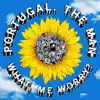 What, Me Worry? - Single album lyrics, reviews, download