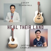 Heal Their Land artwork