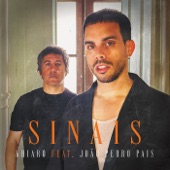Sinais (feat. João Pedro Pais) artwork