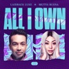 All I Own - Single