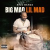 Big Mad Lil Mad - Single