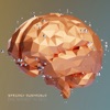 Breakfast in Bed - Single