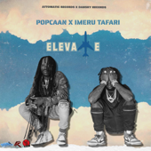 Elevate (feat. Imeru Tafari)