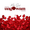 Ungowam - Single