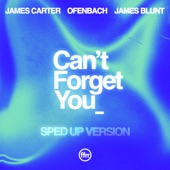 Can’t Forget You (feat. James Blunt) [Sped Up Version] artwork