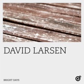 David Larsen - Through and Through