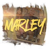 Marley artwork