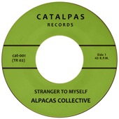 Stranger to Myself artwork