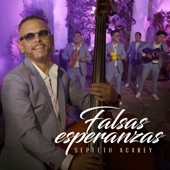 Falsas Esperanzas artwork