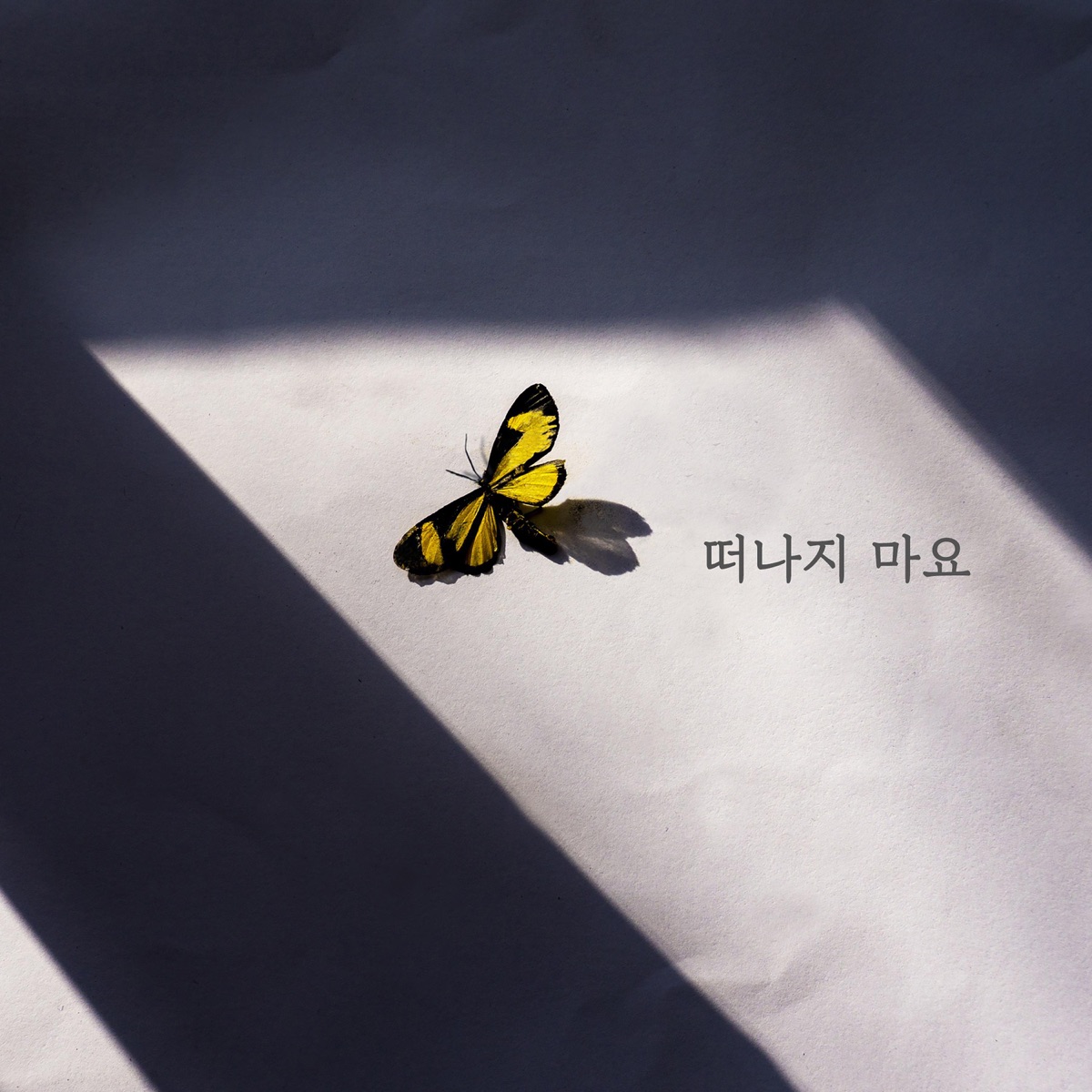 Jong Min Moon – Don’t leave – Single