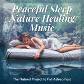 Peaceful Sleep Nature Healing Music - The Natural Project to Fall Asleep Fast artwork