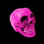 The Skull - Single