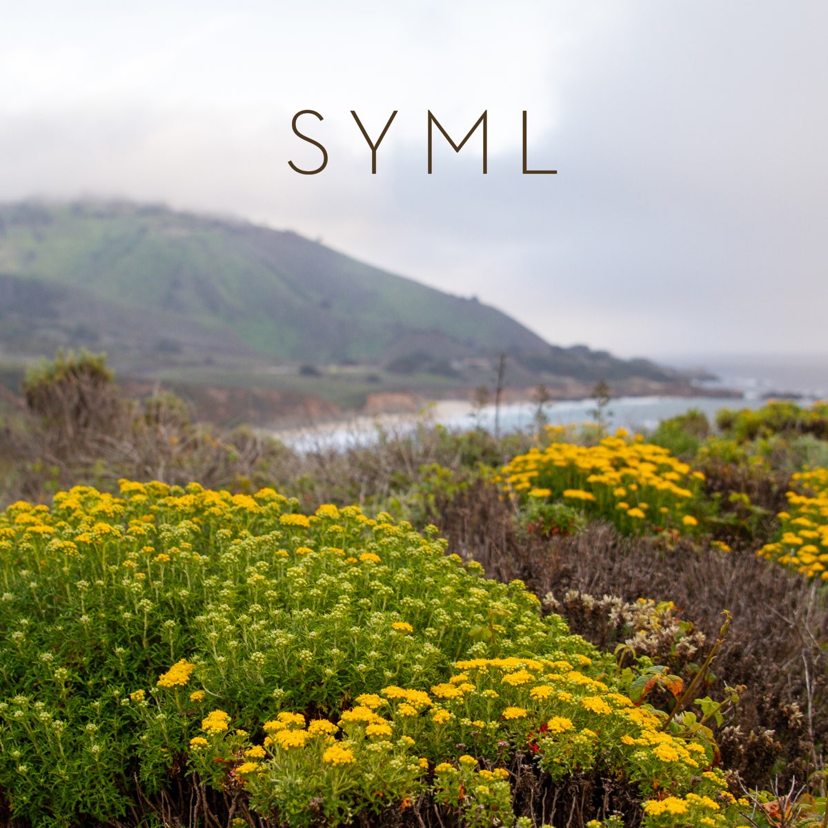 ‎Have A Little Faith In Me - Single by SYML on Apple Music have a little faith in me chords