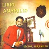 Lirio Amarillo, 1977