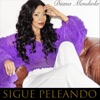 Sigue Peleando - Single