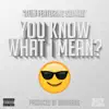 You Know What I Mean? - Single album lyrics, reviews, download