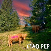 Ciao Pep artwork
