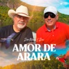 Amor de Arara - Single