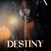 Adil Charfi  Destiny - Single