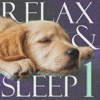 Relax & Sleep, Vol. 1 - EP