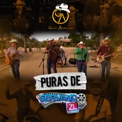 Puras de Servandozl by Grupo Arriesgado album reviews, ratings, credits