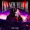 Fkn New Year III - EP album lyrics, reviews, download