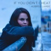 If You Didn't Cheat - Single