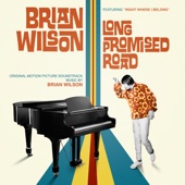 Brian Wilson: Long Promised Road (Original Motion Picture Soundtrack) artwork