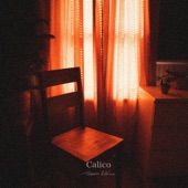 Thomas LaVine - Calico