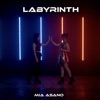 Labyrinth - Single