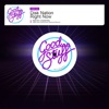 Disk Nation - Right Now