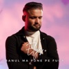 Banul ma pune pe fuga - Single