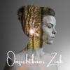 Onzichtbaar Ziek - Single