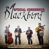 Blackbird (feat. Dale Ann Bradley, Alison Brown, Rob Ickes & Amanda Smith) artwork