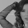 Sentado à Beira do Caminho - Single