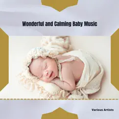 Wonderful and Calming Baby Music by New Age Circle, Zen Music Flow, Zen Nature Library, Relaxing Buddha, Circle of Relaxation, Keep Relax, The Time Of Meditation, Relaxing Music Machine, Relaxing Harmony, Healing & Therapy No Stress album reviews, ratings, credits