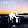 It Is What It Is - Single