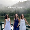 Mavilim Mavişelim - Single