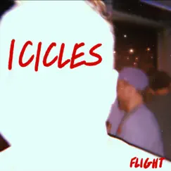 Icicles - Single by Flight album reviews, ratings, credits