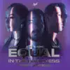 Equal in the Darkness (The Remixes) [feat. MAX] - Single album lyrics, reviews, download