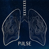Pulse Waves artwork