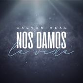 Nos damos la vida artwork