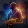 Grow - Single