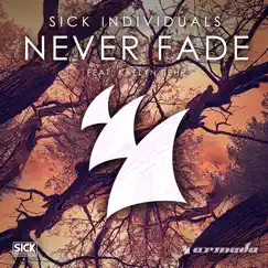 Never Fade (feat. Kaelyn Behr) [Radio Edit] Song Lyrics